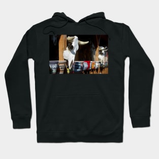 Southwest II Hoodie